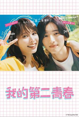 厦门seo优化代理